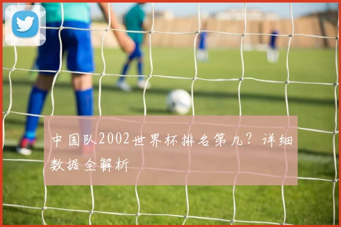 中国队2002世界杯排名第几？详细数据全解析