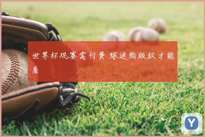 世界杯观赛需付费 球迷购版权才能看