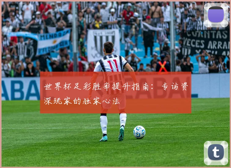 世界杯足彩胜率提升指南：专访资深玩家的独家心法