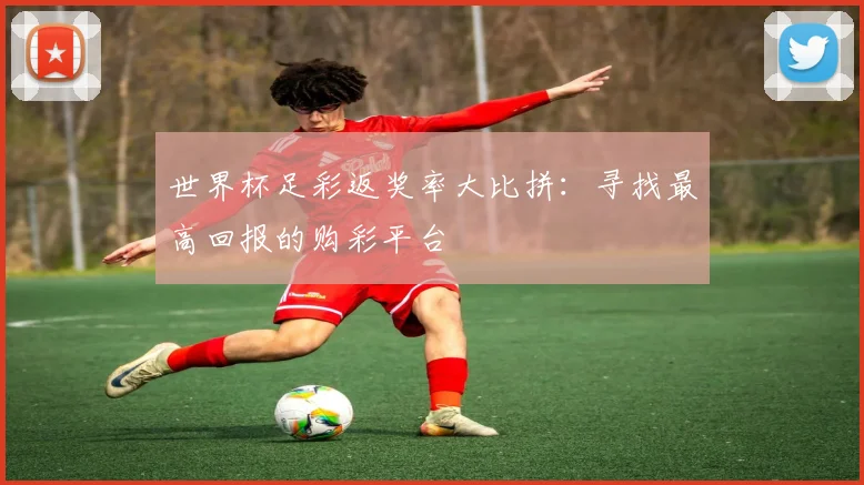 世界杯足彩返奖率大比拼：寻找最高回报的购彩平台