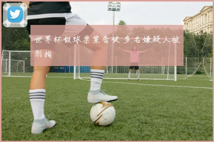 世界杯假球票案告破 多名嫌疑人被刑拘