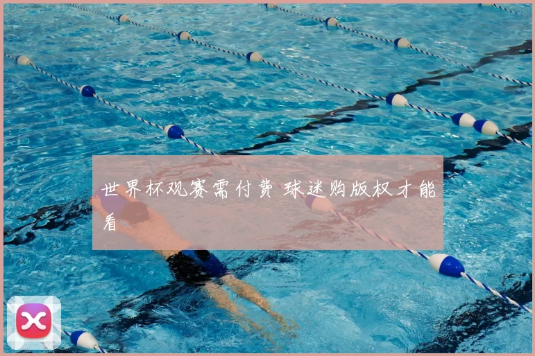 世界杯观赛需付费 球迷购版权才能看